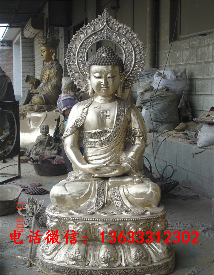 1米DSC03283.JPG