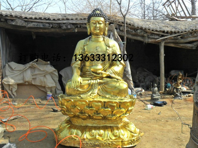 psueCAXRNX6T15米如来.jpg