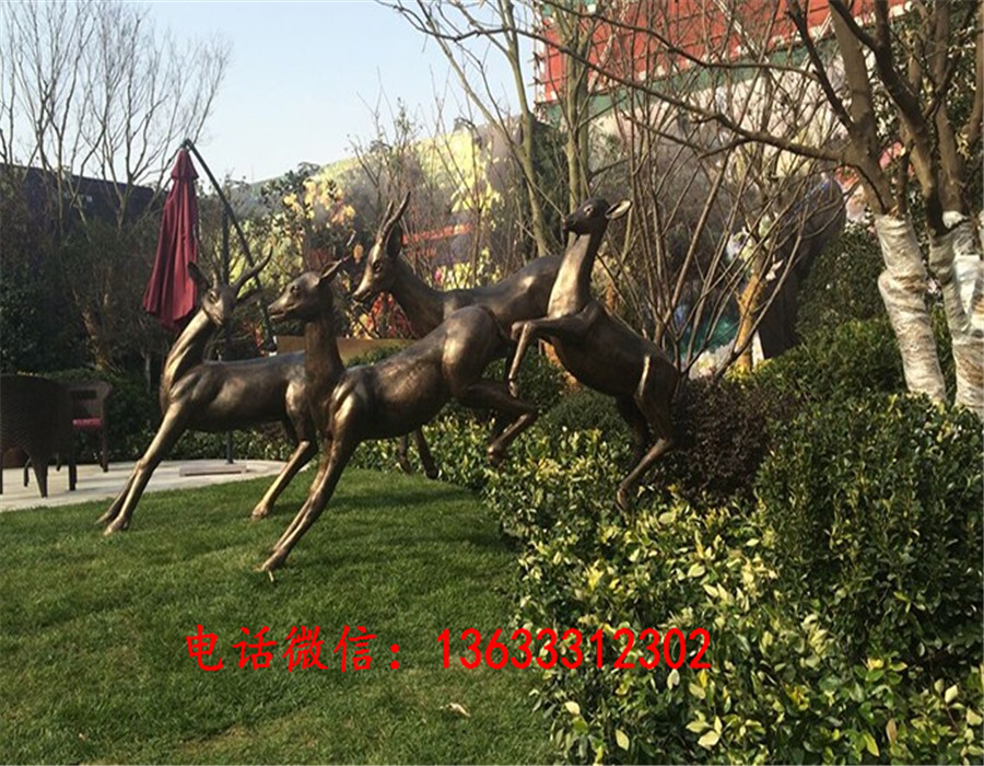 14184400476436415.jpg