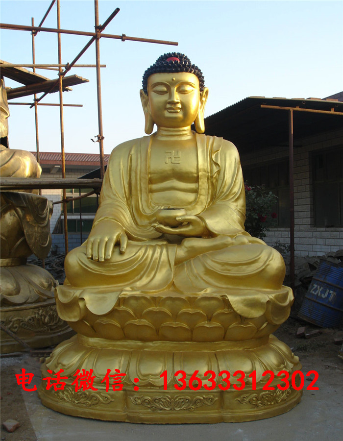 01881.jpg