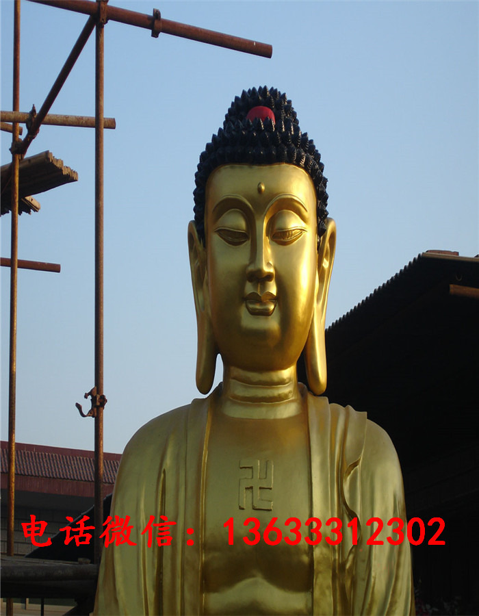 01882.jpg