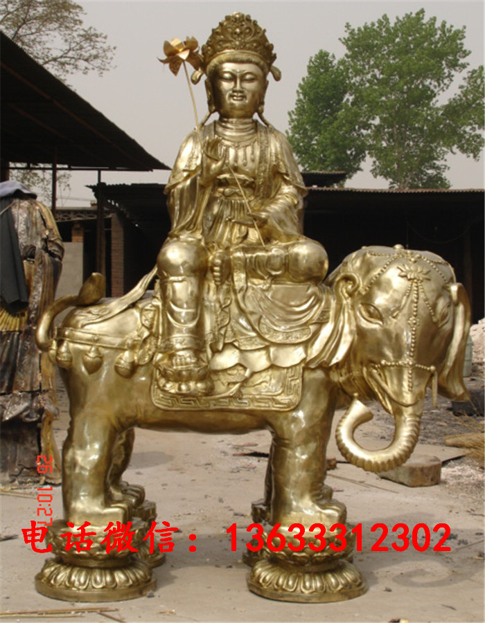 01906.jpg