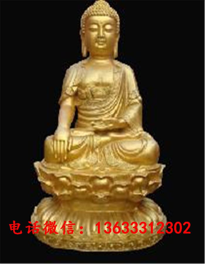 06466.jpg