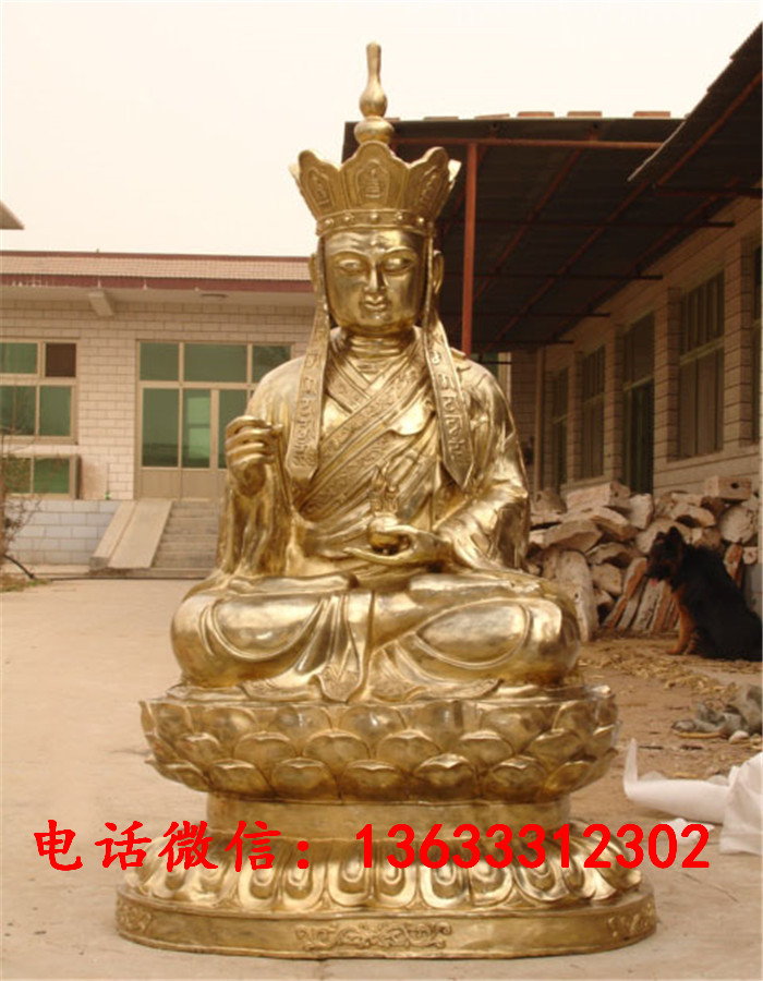 11401.jpg