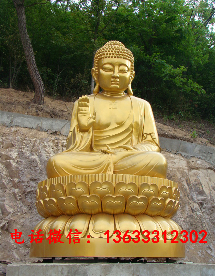 29492.jpg