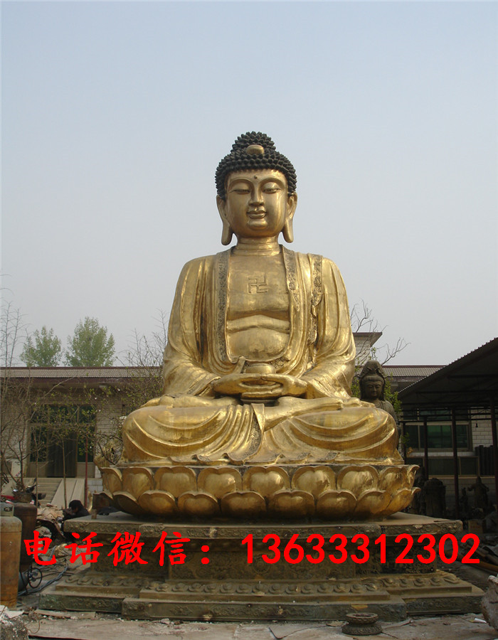 29764.jpg