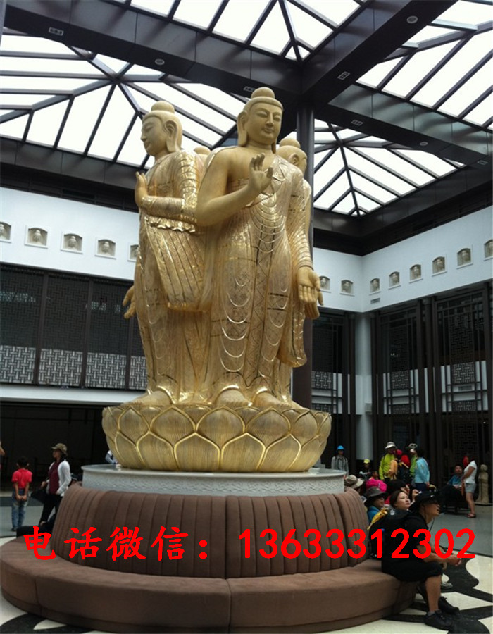 33647.jpg