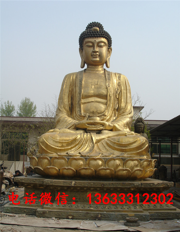 照片 007.jpg