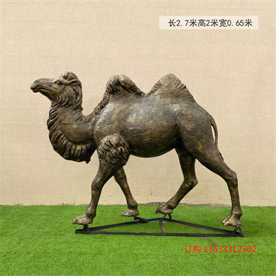 17_185812_5.jpg