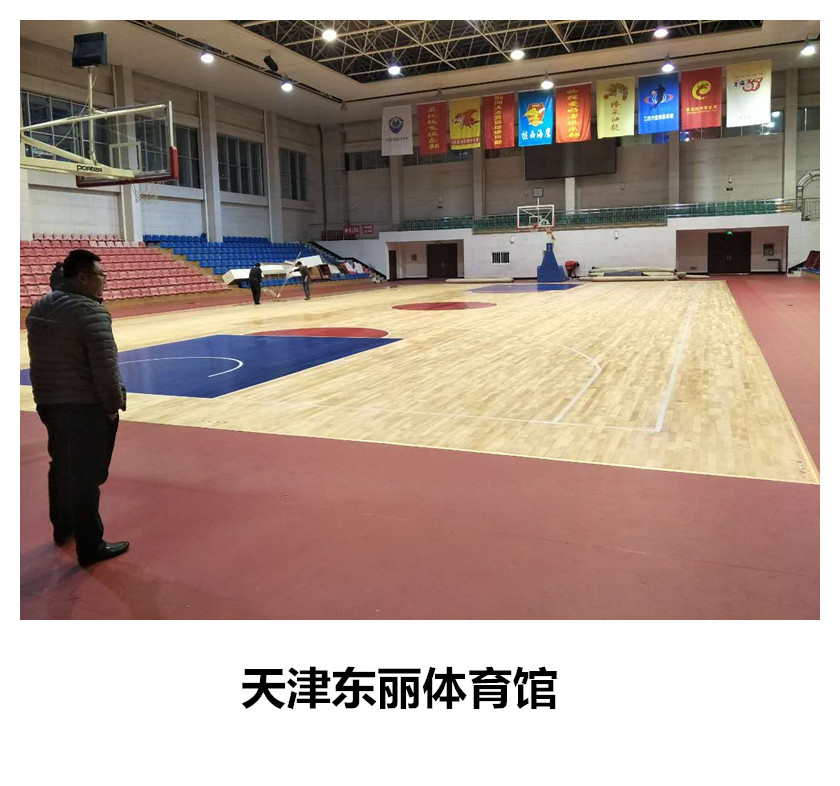 天津東麗體育館